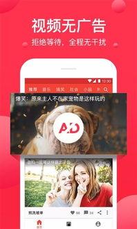 西瓜视频免费网站在线观看,免费在线观看精彩内容